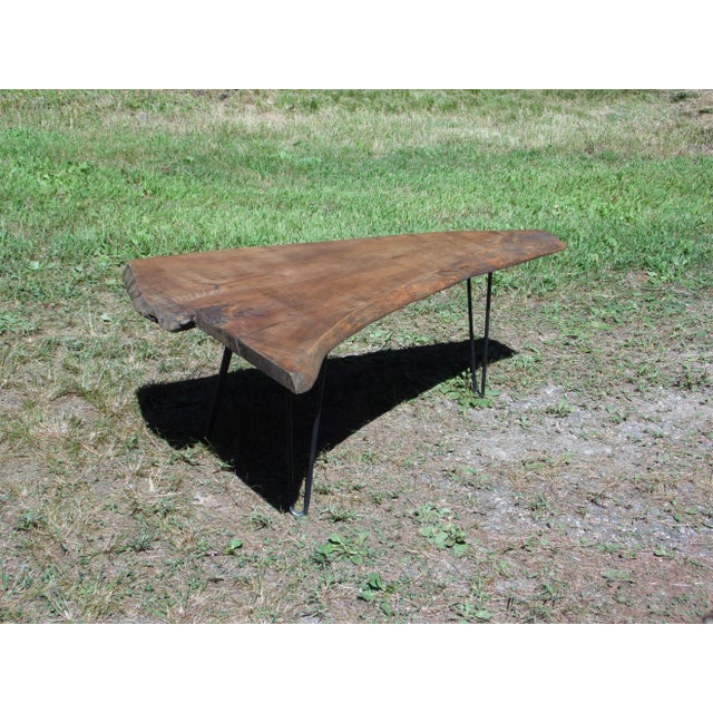 Vintage Organic Solid Wood Reclaimed Coffee Table, rustic and naturally beautiful tree slab top above tripod iron hairpin...