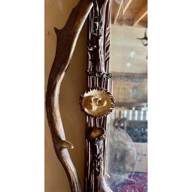 Cabin Antique German Antler Mirror With Carved Dog and Rosettes, Trophy-Style For Sale - Image 3 of 6