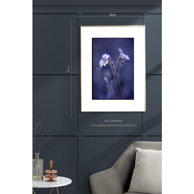 Not Yet Made - Made To Order Paul Cooklin, Woodruff, Gallium Odoratum, Edition of 50 For Sale - Image 5 of 7