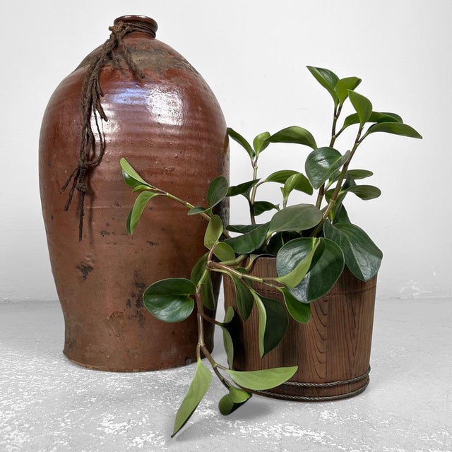 Organic Earthenware Jug, Czech Republic, 19th Century For Sale - Image 4 of 17