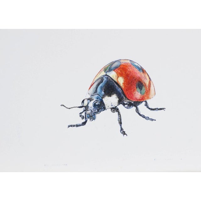 Janis Utans, Ladybug at Rest IV, 2021, Mixed Media and Paper For Sale - Image 3 of 3