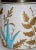 19th Century Biscuit Jar With Crow Claws For Sale - Image 10 of 11