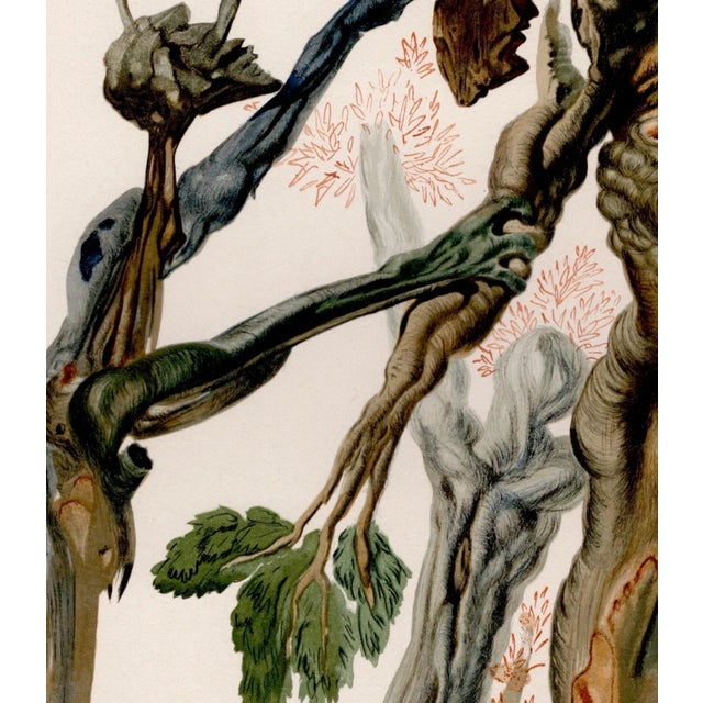 Salvador Dali, The Wood of the Self-Murderers, 1964, Original Woodcut For Sale - Image 3 of 8