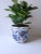 A blue and white porcelain planter cachepot jardinière from Estee Lauder Co., late-20th century, 1979. Porcelain cachepot...