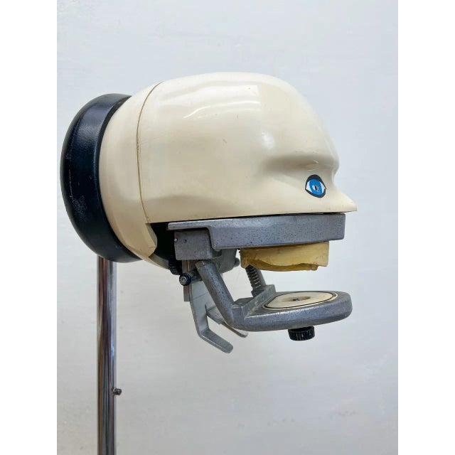 1970s Vintage Dental Practice Training Phantom Head on Stand, 1970s For Sale - Image 5 of 13