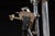 Vintage Seagull Cutaway Motor Demonstrator For Sale - Image 15 of 18