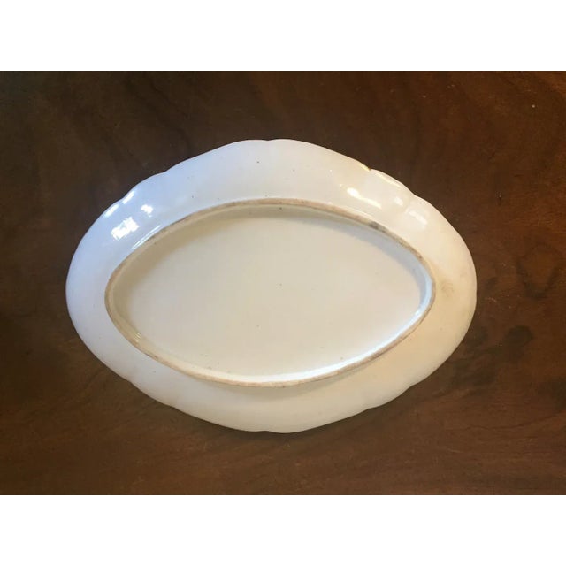 Ceramic Antique Early 19th Century English Regency Coalport Porcelain Botanical Oval Dessert Dish For Sale - Image 7 of 9
