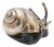 Miniature Snail in Nickel Silver For Sale