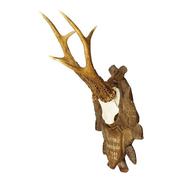 Great Deer Trophy Mount on Wooden Carved Plaque 1902 Chairish