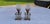 Decorative Elements in Frosted Glass and Brass, 1900, Set of 2 For Sale - Image 17 of 17