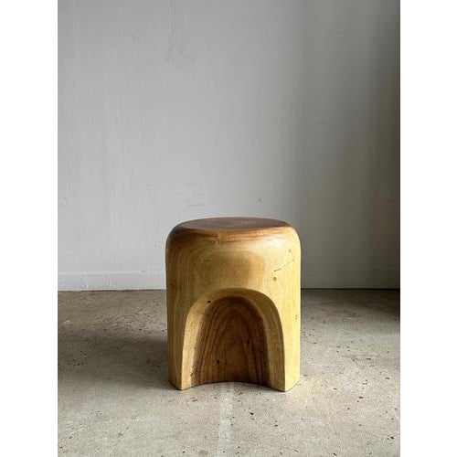 End of Sofa Stool or Side Table in Solid Monoxyl Suar Wood For Sale - Image 18 of 18