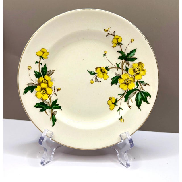 Floral Wall Plate Collection - 9 Plates For Sale - Image 12 of 15