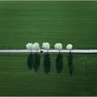 Klaus Leidorf, White Line - Color Photography, 2013 For Sale