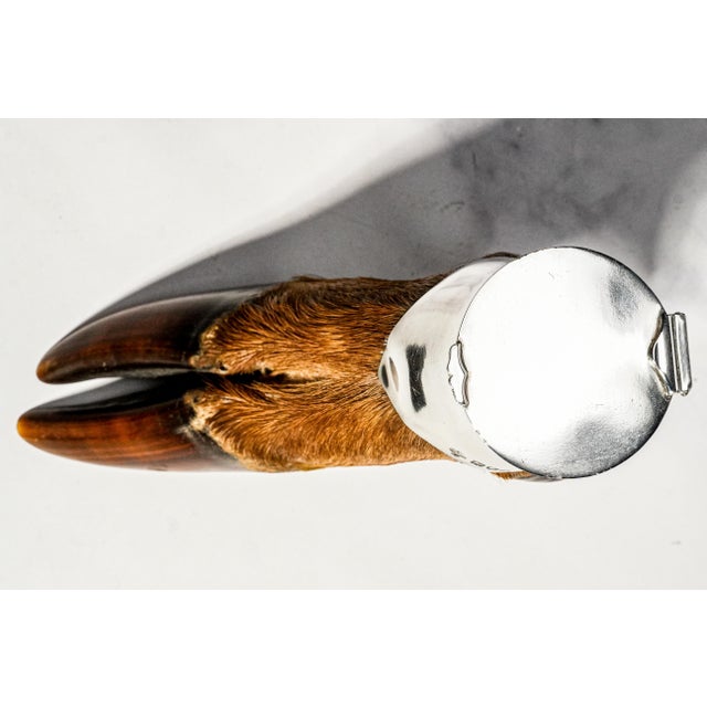 Country Sporting Decor Antique English Sterling Silver Mounted Deer Hoof Taxidermy Inkwell For Sale - Image 11 of 14