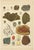 Dr. Gustav Adolph Kenngott, Mineralogy Quartz, Agate & Tourmaline, 1888, Chromolithographs, Set of 3 For Sale - Image 3 of 13