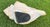 Vintage Oversized Hand-Painted Oversized Conch Shell Sculpture For Sale - Image 10 of 12