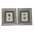 Framed Pair of Pressed Blue Delphinium Flowers For Sale