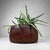 A traditional Japanese hibachi, made from heavy wood with a deep dark patina and a reddish copper lining. Dimensions:...