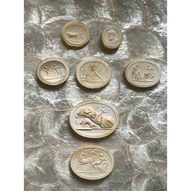 Black Grand Tour Neoclassical Plaster Intaglio Collection in Shadow Box Frame, Classical Medallions Wall Art For Sale - Image 8 of 12