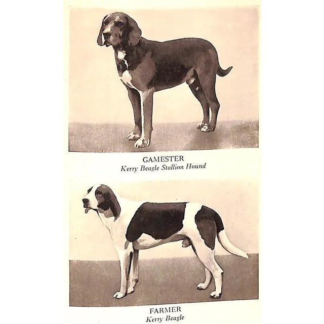 "Sport on Land and Water: Volumes I, Ii, Iii" 1913 Griswold, Frank Gray For Sale - Image 15 of 18