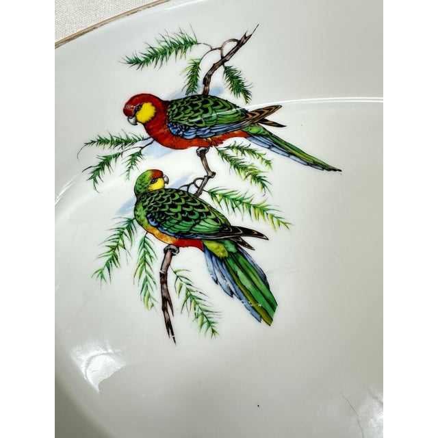 Vintage Exotic Birds Gratin Dish For Sale - Image 11 of 12