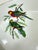 Vintage Exotic Birds Gratin Dish For Sale - Image 11 of 12