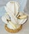 Late 19th Century Late 19th Century Moore Bros Porcelain Cactutus Flower Vases, Set of 4 For Sale - Image 5 of 13