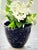 Stoneware Garden Planter by Bennington Potters (1992) For Sale In Columbus - Image 6 of 7