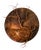 Nest Wall Sconce by Frankie Cesare For Sale