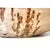 Antique Hand Carved Dugout Wood Trough Bowl For Sale - Image 10 of 18