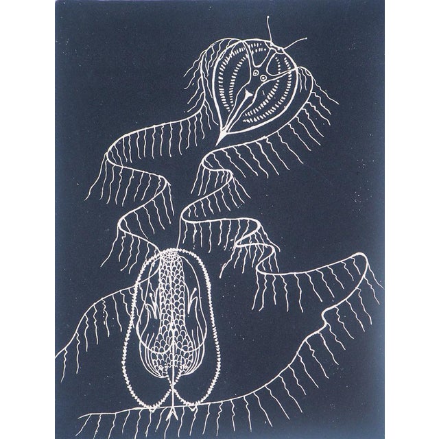 After Bona, Exalted Dalila, 1962, Original Engraving For Sale - Image 5 of 7