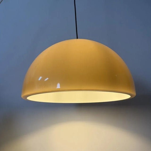 Brown Mushroom Pendant, 1970s For Sale - Image 18 of 18