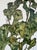 Egon Schiele, Sunflowers, 1917, Print For Sale - Image 12 of 13
