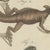 Beige Bertuch, Monitor, Basilisk and Flying Dragon, 1805, Print For Sale - Image 8 of 12
