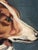 Portraiture Antique Original Dog Oil Painting, 19th Century Dog Portrait For Sale - Image 3 of 11