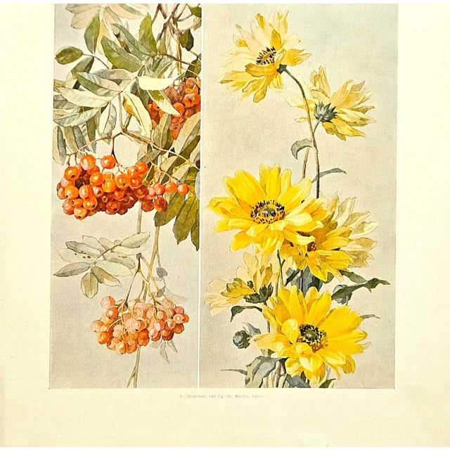 French Country 1900 French Art Nouveau Botanical Lithograph-Studies of Flowers For Sale - Image 3 of 4