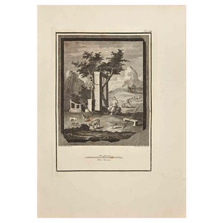 Carlo Oraty, Roman Temple with Shepherd, Etching by Giussepe Aloja, 18th Century For Sale