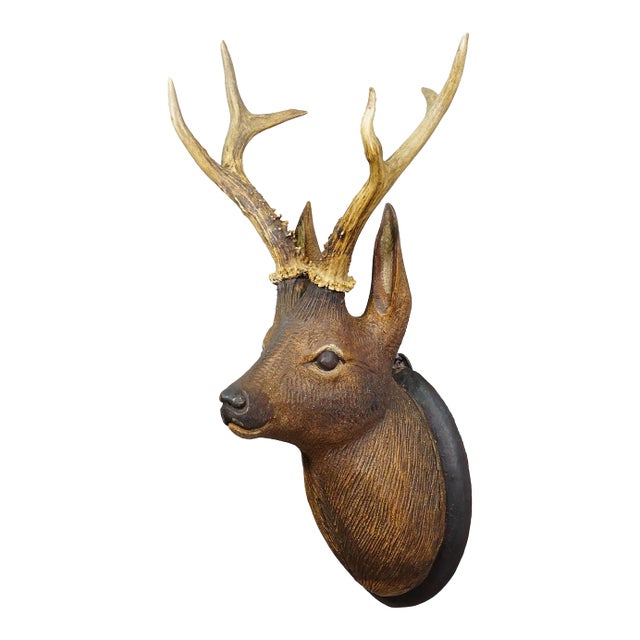 Large Naturalistic Black Forest Carved Deer Head, Ca. 1930s For Sale