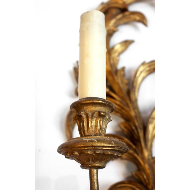 Mid-20th Century Pair of Likely-Italian Gilt Wood Wall Sconces For Sale In Raleigh - Image 6 of 8