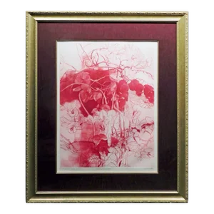 g.h Rothe Bougainvillea 1981 Mezzotint Etching Hand Signed