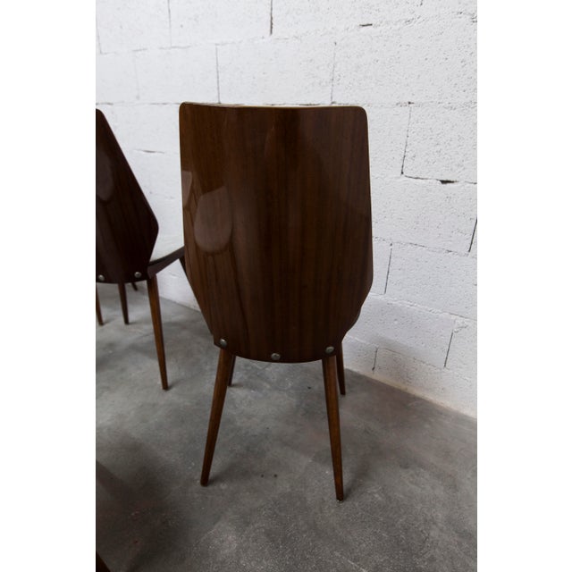 Baumann Model 840 G2S Chairs in Varnished Mahogany Finish, 1963, Set of 6 For Sale - Image 15 of 18