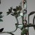 Italian Lantern, 19th Century For Sale - Image 5 of 6
