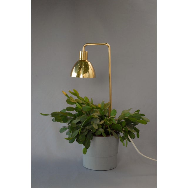 Mid-Century Modern Model G98 Flower Lamp by Hans-Agne Jakobsson for HAJ Markaryd, 1960s For Sale - Image 3 of 14