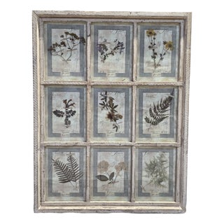 Decorative Panel with Framed Botanical Composition, 1920s For Sale