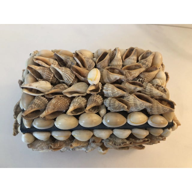 Tan 1970s Handmade Decorative Seashell Shell Box For Sale - Image 8 of 9