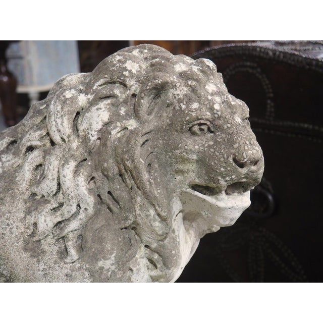 French A French Medici Style Lion in Reconstituted Stone, 20th C For Sale - Image 3 of 18