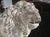 French A French Medici Style Lion in Reconstituted Stone, 20th C For Sale - Image 3 of 18