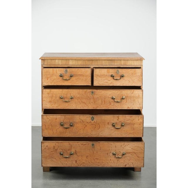 Large Antique English Blonde Oak Chest of Drawers with Gilt Elements, 18th Century For Sale - Image 3 of 14
