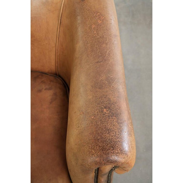 Brown Sheepskin Club Armchair Light Cognac with Decorative Nails For Sale - Image 8 of 14