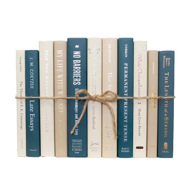 Modern Decorative Books - Northern Shore Book Bundle - 1 Foot of Blue Books For Sale - Image 3 of 4